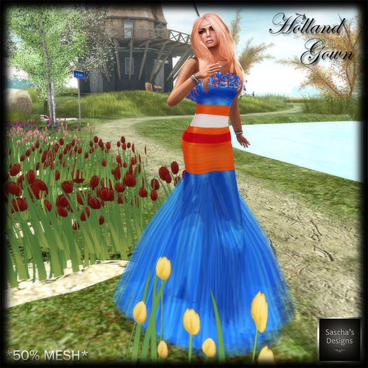 SAS - Holland PROMO Ballroom Gown (50% Mesh)