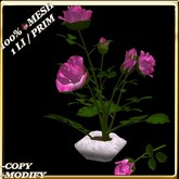 LW_RoseBushVase-White1