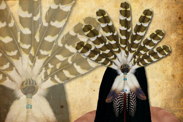 Indian Chief Headdress