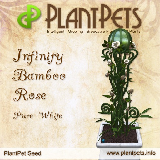 PlantPet Seed [Infinity Bamboo Rose *Pure White*] COMMON