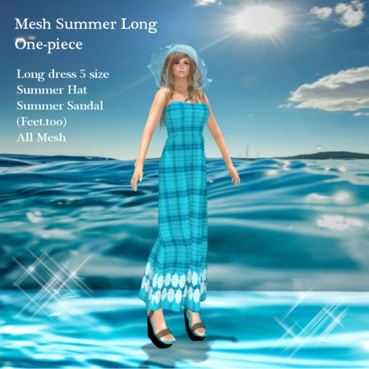 Mesh Summer Long One-piece Box 22