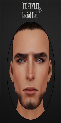 {Fe Style} Facial Hair - 8ED/2 [Box]