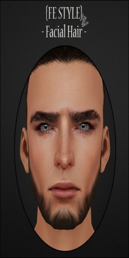 {Fe Style} Facial Hair - 8ED/5 [Box]