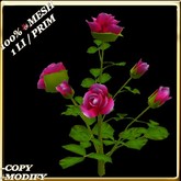 LW_RoseBushVase-White1