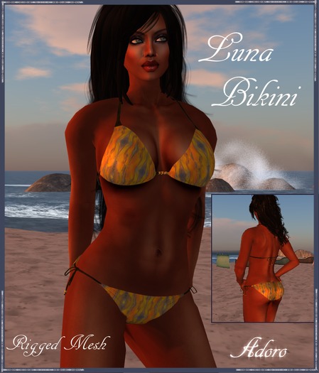 Luna Bikini  Swimsuit  2 in1