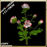 LW_RoseBushVase-White1