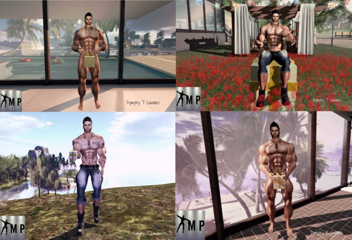 Male Poses - Present Pack - 4 Poses