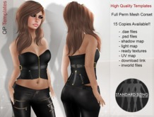 DEMO Semi Exclusive Mesh Payton Belted Corset Op Temp 012