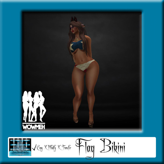 American Flag Bikini