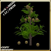 LW_ Mesh Kiwi Tree - 1 (1 LI / Prim)