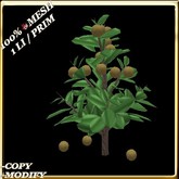 LW_ Mesh Kiwi Tree - 2 (1 LI / Prim)
