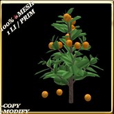 LW_ Mesh Orange Tree - 2 (1 LI / Prim)