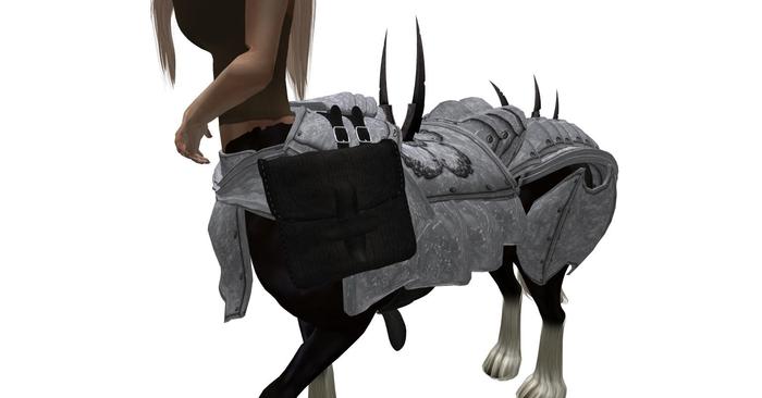 ~TCA~ Silver Chiron Armor UNISEX