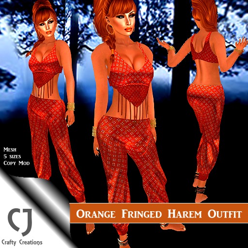 Orange Fringed Harem Outfit